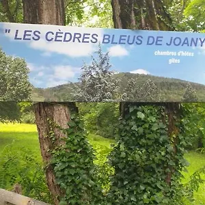 Cedres Bleus De Joany Chez Nathalie Guest house